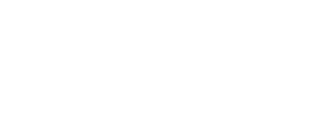 Logo de Hanna Original